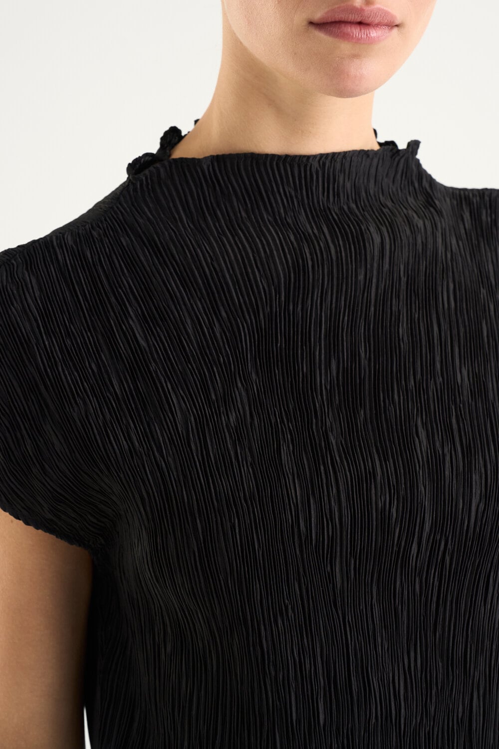 Wren Top