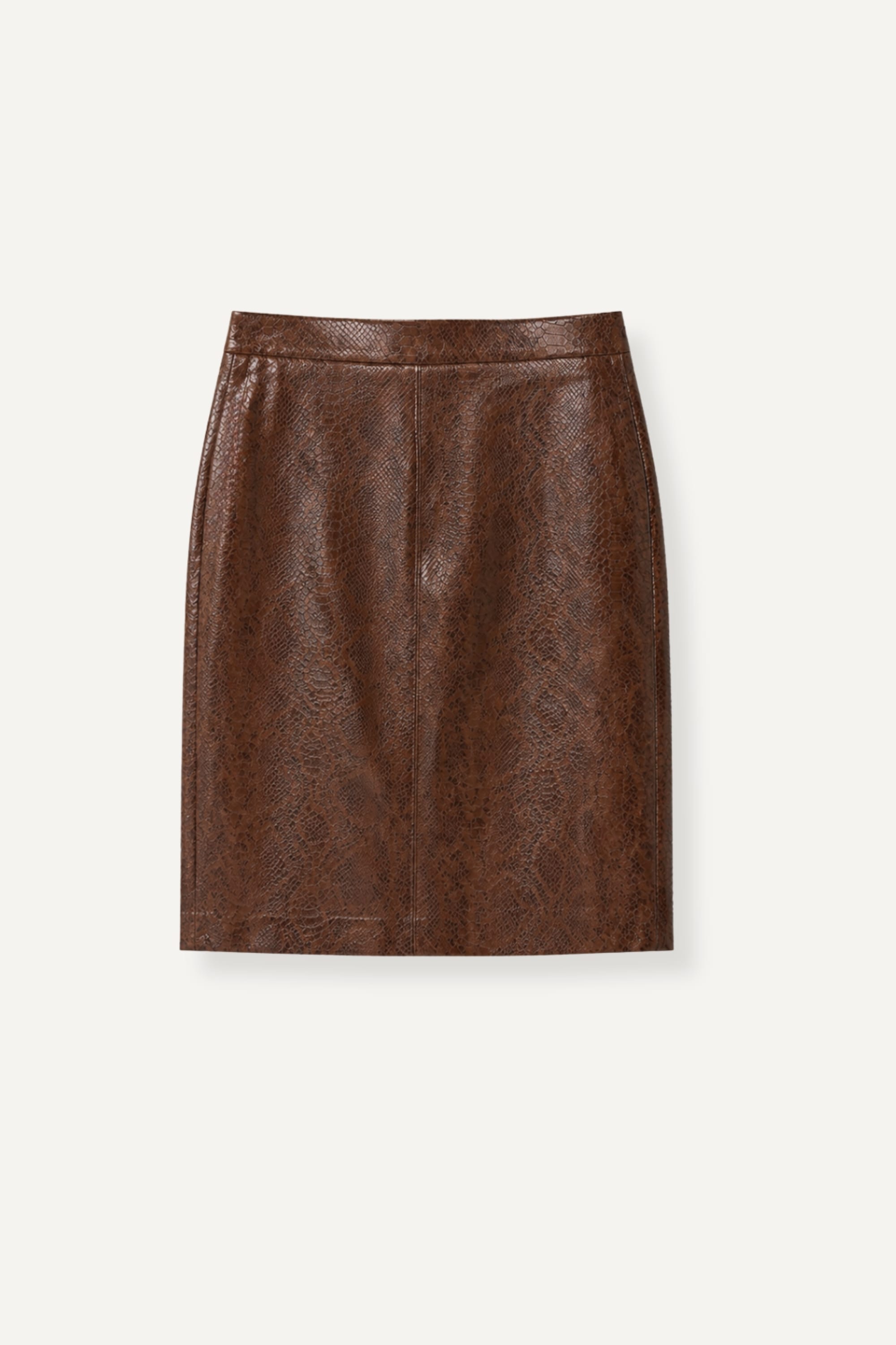 Ramona Faux Leather Skirt