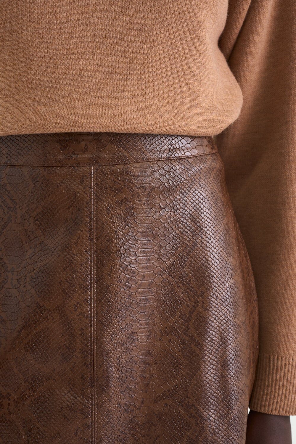 Ramona Faux Leather Skirt