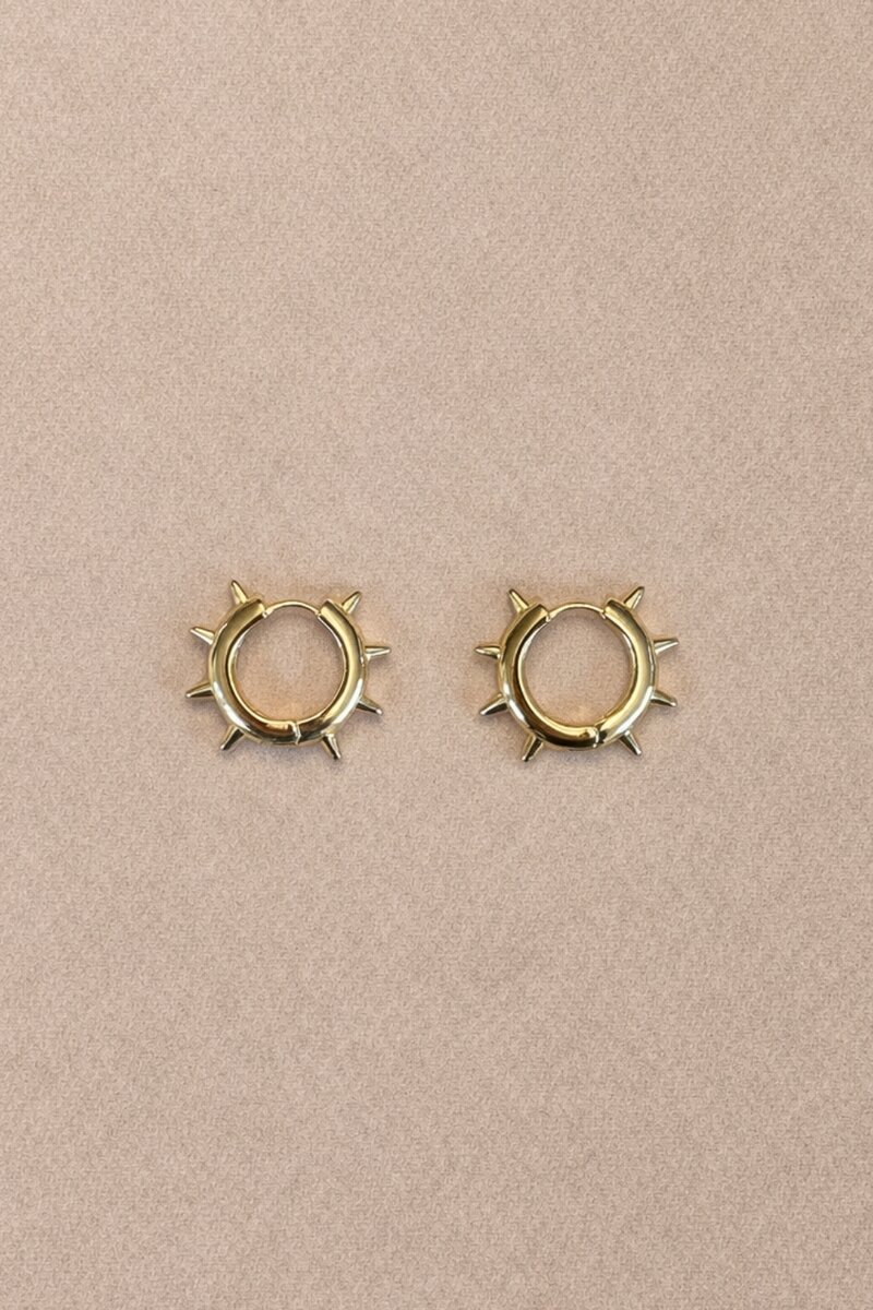 Product Image for Laily Hoops